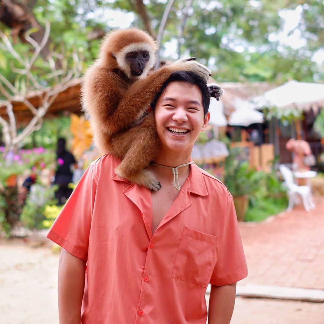 アイス・サランユーのインスタグラム：「มองชะนี🐵 ที่ มองช้า🐘 Cafe  งงไหม!? ไม่งงนะ😅 คือ เขามีหลายอย่างให้มอง  มองช้าง มองชะนี มองนก มองสารพัดสัตว์ ที่ @mongchangcafe  สุดปัง!!! ต้องมา น้อง @lookpad_purimprud คนสวย รอตอนรับทุกคน ที่พัทยาครับ  #มองช้างคาเฟ่  #พัทยา  #เที่ยวทั่วไทยกับไอซ์ศรัณยู」