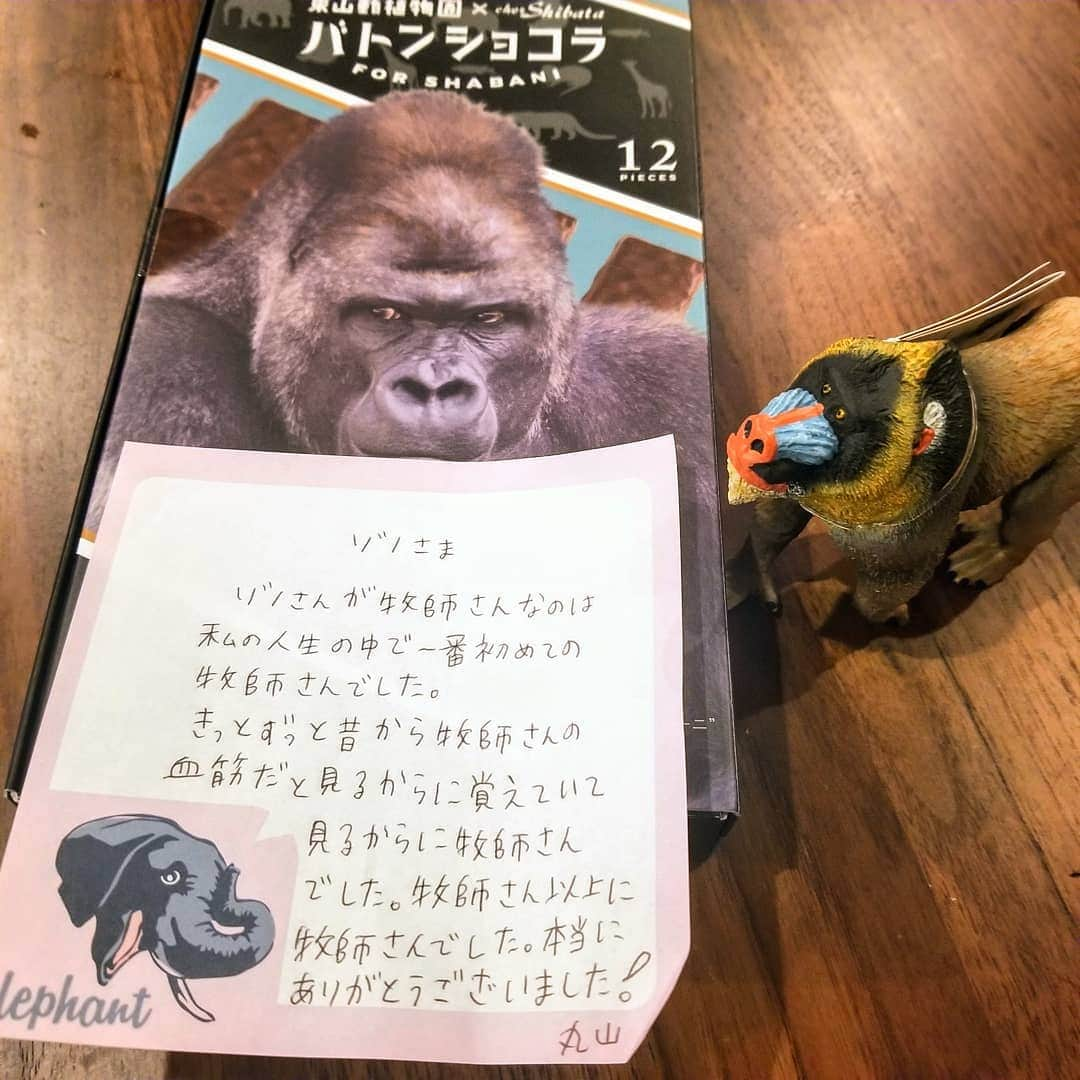 前園真聖さんのインスタグラム写真 - (前園真聖Instagram)「いただいたのだけど、 似ているから⁉️なのかな…😂 #マンドリル #丸山桂里奈」9月14日 11時26分 - maezono_masakiyo