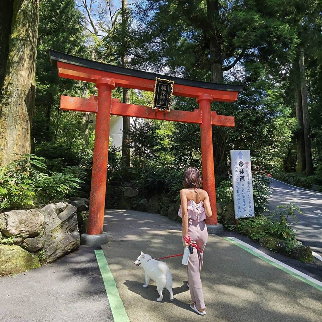 脇田恵子のインスタグラム：「おもち🐶！！ ぐるぐるしたら歩きにくいでしょ🤫！  怒られないからっていつもかるーいいたずらしてくるのがたまらん🤭 他の人には絶対やらないことばっかりねぇ  #移動暮らし #箱根神社」