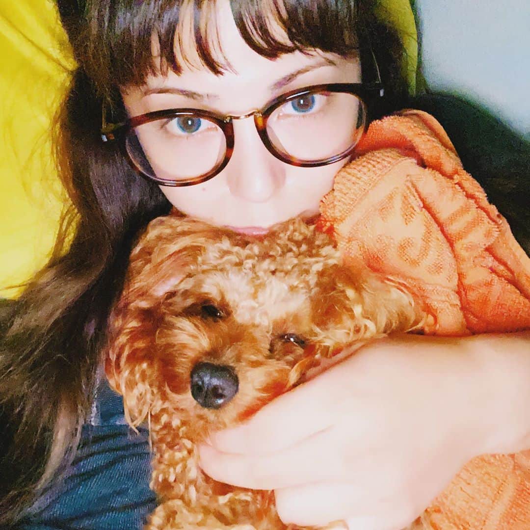 Arimeのインスタグラム：「かわい子ちゃん🐶💕 今日は久しぶりに夜、遊びにでます😷😀  #沖縄 #わんこ #モデル #沖縄生活 #海綺麗 #わんこなしでは生きていけません会 #ペットモデル」