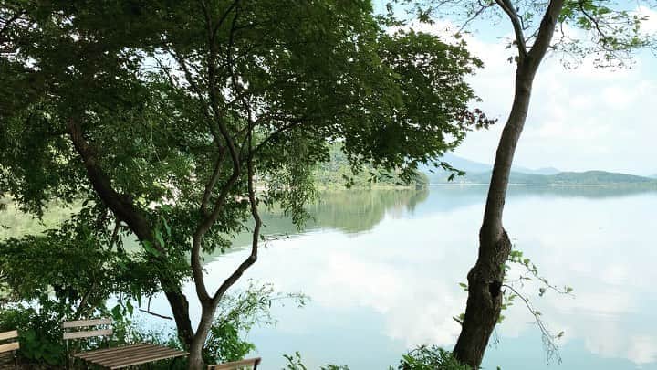 チン・ソヨンのインスタグラム：「🌳🌳🌳🌳 열심히 일했고 끝났다」