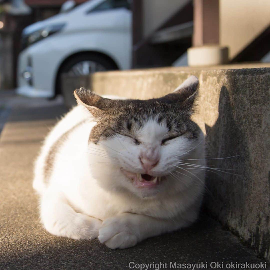 Masayukiさんのインスタグラム写真 - (MasayukiInstagram)「うれしくなっちゃう。」9月14日 11時47分 - okirakuoki