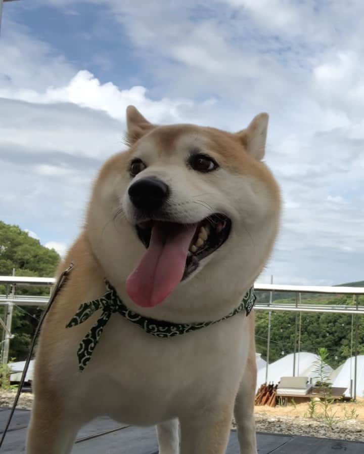 豆助左衛門（まめすけざえもん）のグルメインスタ