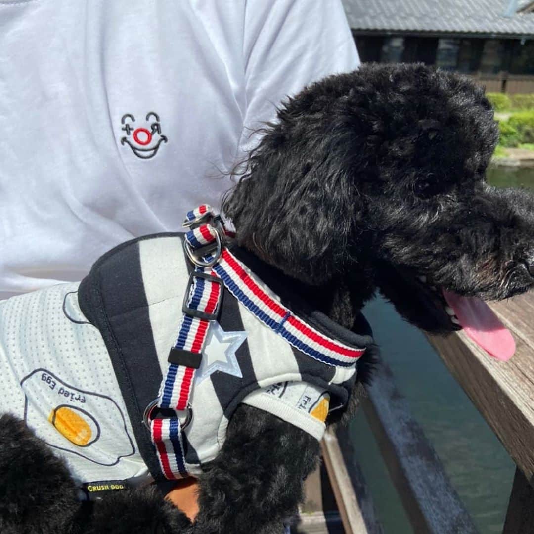 のインスタグラム：「勝った次の日のオフは格別に気持ちがいいですね！！😆 皆さんもいい１日をお過ごし下さい！！😆  #かわばでんえんぷらざ  #torbyansiennecloset」