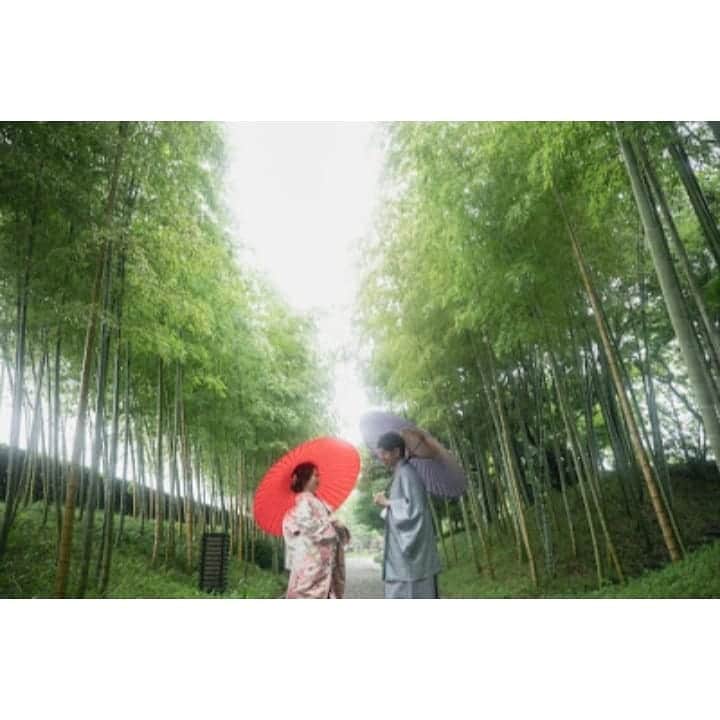 メゾン エルミタージュのグルメインスタ