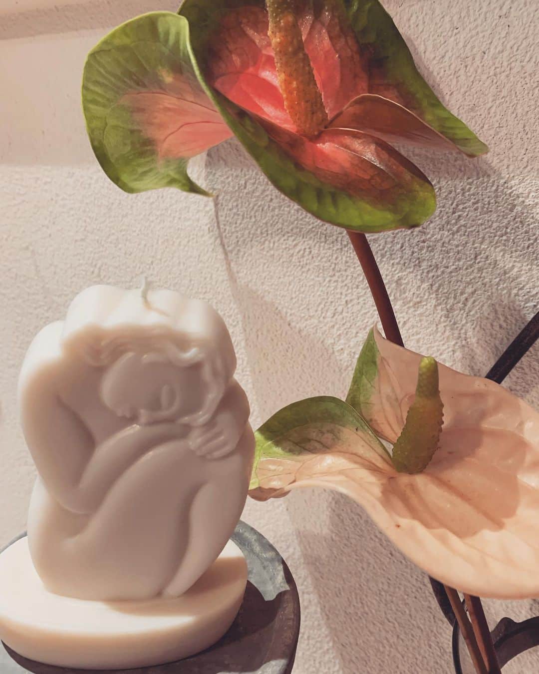 kikkoのインスタグラム：「お気に入り。」