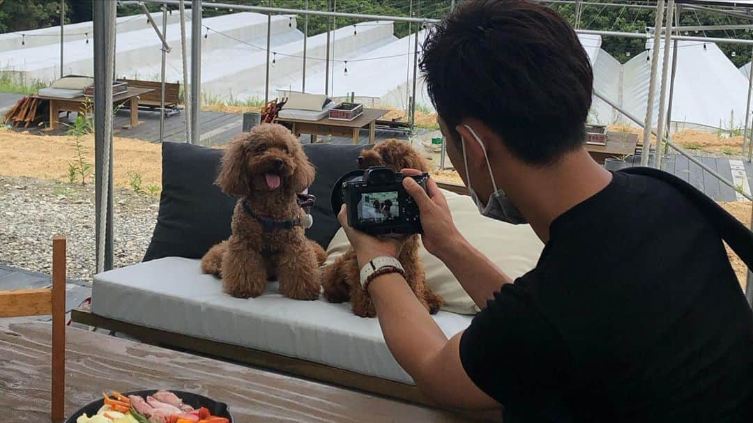 豆助左衛門（まめすけざえもん）さんのインスタグラム写真 - (豆助左衛門（まめすけざえもん）Instagram)「🐾 私も義母も お世話になってる  @kazutherapy  かず接骨院のかず先生が  すごーいカメラで📷 撮影し動画を作ってくれました😊  今回はかず先生夫妻に出演してもらいました。 奥様🍅試食中😋  撮影場所 @awajinosimasaien   いつもたくさん撮ってもらってばかりなので 今回は私がかず先生をパチリ📷  9.10枚目… 利き手骨折の翌日 奥様がご飯作れないと心配して、お寿司とお花買ってきてくれました🙏  ありがとうございました🙏💕  〒770-0847 徳島県徳島市幸町３丁目１０１ 088-678-9924 かず接骨院 @kazutherapy  @medical_therapist_labo   1人でも多くのセラピストの知識、技術向上をはかり患者様によりよいサービスを提供出来るように 全然の理学療法士、作業療法士、柔道整復師、インストラクター向けのオンラインサロンも開設するみたいです！ 楽しみだな💕  #PRじゃないから🤣 #本当にいい先生 #しかもイケメン #体のお悩み相談 してね！ #肩腰痛くない？」9月14日 12時41分 - mamesukezaemon