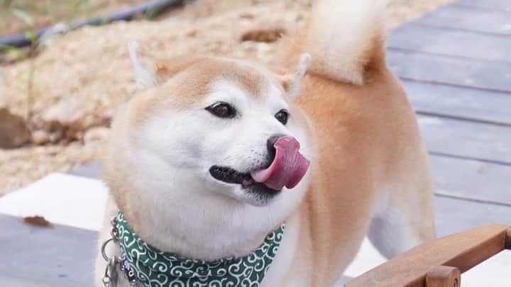 豆助左衛門（まめすけざえもん）のグルメインスタ