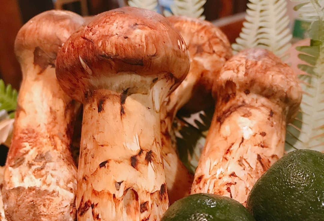 やきとり 有機野菜 ながしろのグルメインスタ