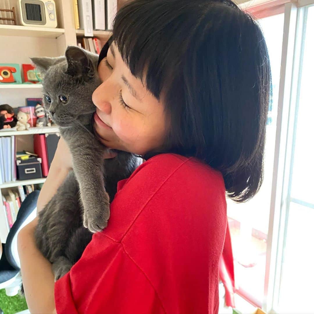 小鳥遊しほのインスタグラム：「愛するそばちゃん(うーちゃんも)と再会した時の画像を。この瞬間、秒で喉をゴロゴロ鳴らしてくれてママ感激😂♡  抱っこ大好きそばちゃんですが、あまりの熱いハグに最後完全に降りようとしてます。笑  愛猫うどんとおそばアカウント、絶賛のびしろ発揮中🐈 @oudon_and_osoba   はぁ。もう離れたくないので健康体でい続けたい… 退院後の焼肉の旨さたるや… 肉は正義だ…  お世話してくれたお友達にも感謝。 ホムパをしまくってるので家の勝手を知ってる人がいまくるありがたさ。笑  そろそろ秋ですね 味覚の秋です ホムパしましょうみなさん。  #猫のいる暮らし #うどんとおそば #猫 #ねこのいる生活 #ねこと暮らす」