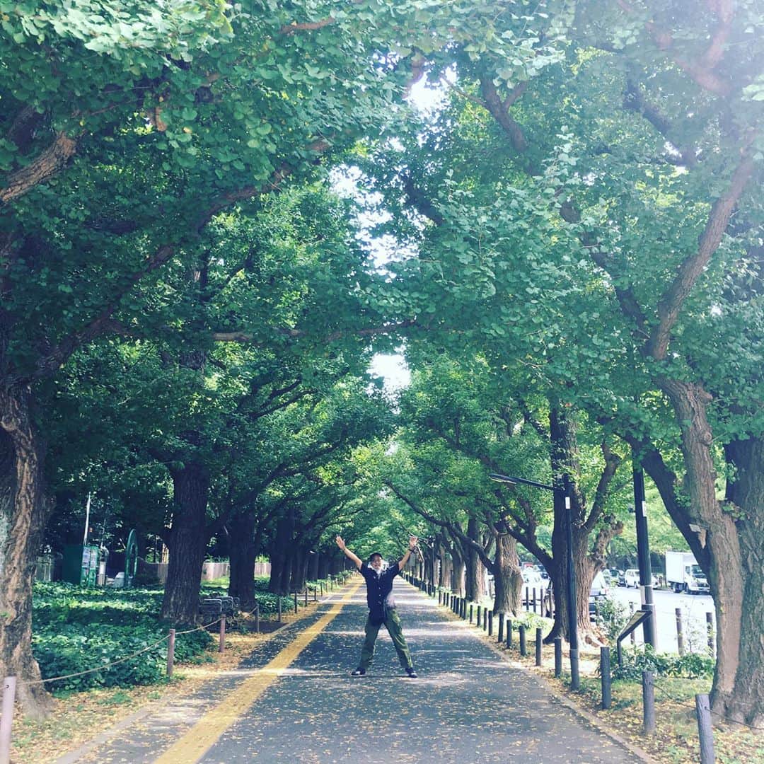 桂かい枝さんのインスタグラム写真 - (桂かい枝Instagram)「銀杏並木」9月14日 14時29分 - kaishikatsura