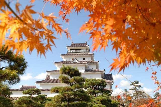 TOBU RAILWAY（東武鉄道）さんのインスタグラム写真 - (TOBU RAILWAY（東武鉄道）Instagram)「. . 🚩Tsuruga Castle - Aizuwakamatsu, Fukushima . . [Let's go to Aizuwakamatsu's popular autumn leaves spot, Tsuruga Castle!] . Tsuruga Castle is a symbol of Aizuwakamatsu. If you have the opportunity to go up to the top of the castle, you can enjoy a panoramic view of Aizuwakamatsu City. The best time to see autumn leaves is usually from late October to early November. From Tokyo to Aizu, if you have a ticket of "YUTTARI (relaxing) AIZU TOBU FREE PASS" for Tobu Railway, you can get on and off the train in the designated section freely.  . . #visituslater #stayinspired #nexttripdestination . . . #aizu #fukushima #tsurugacastle #aizuwakamatsu #japantrip #travelgram #tobujapantrip #unknownjapan #jp_gallery #visitjapan #japan_of_insta #art_of_japan #instatravel #japan #instagood #travel_japan #exoloretheworld #ig_japan #explorejapan #travelinjapan #beautifuldestinations #toburailway #japan_vacations #japan_autumn #japancastle」9月14日 15時00分 - tobu_japan_trip