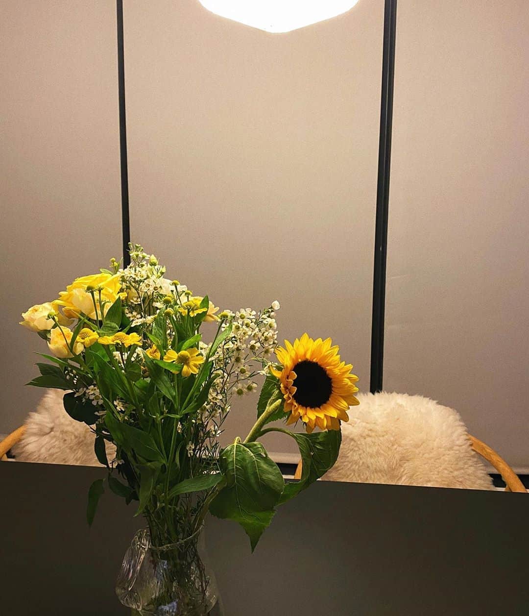 Estée Lalondeのインスタグラム：「🌻」