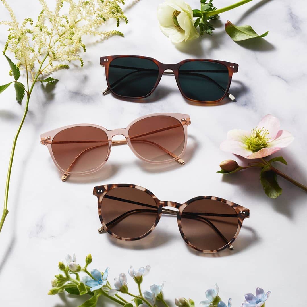 Warby Parkerのインスタグラム：「Our latest set of sunglasses blends vivid acetates with lustrous metal in an alluring demonstration of artistry and technical skill—Studio Edition is waiting for you with the link in our bio!」