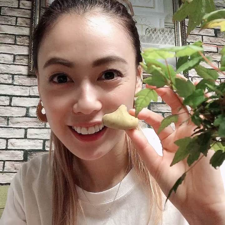 優美のインスタグラム