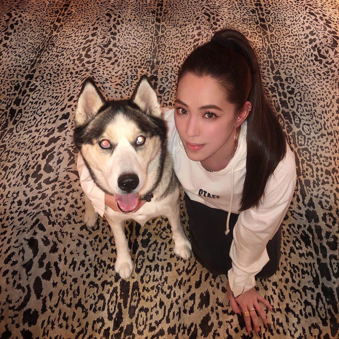 アリッサのインスタグラム：「the prettiest, sweetest lil’ girl husky~ x」