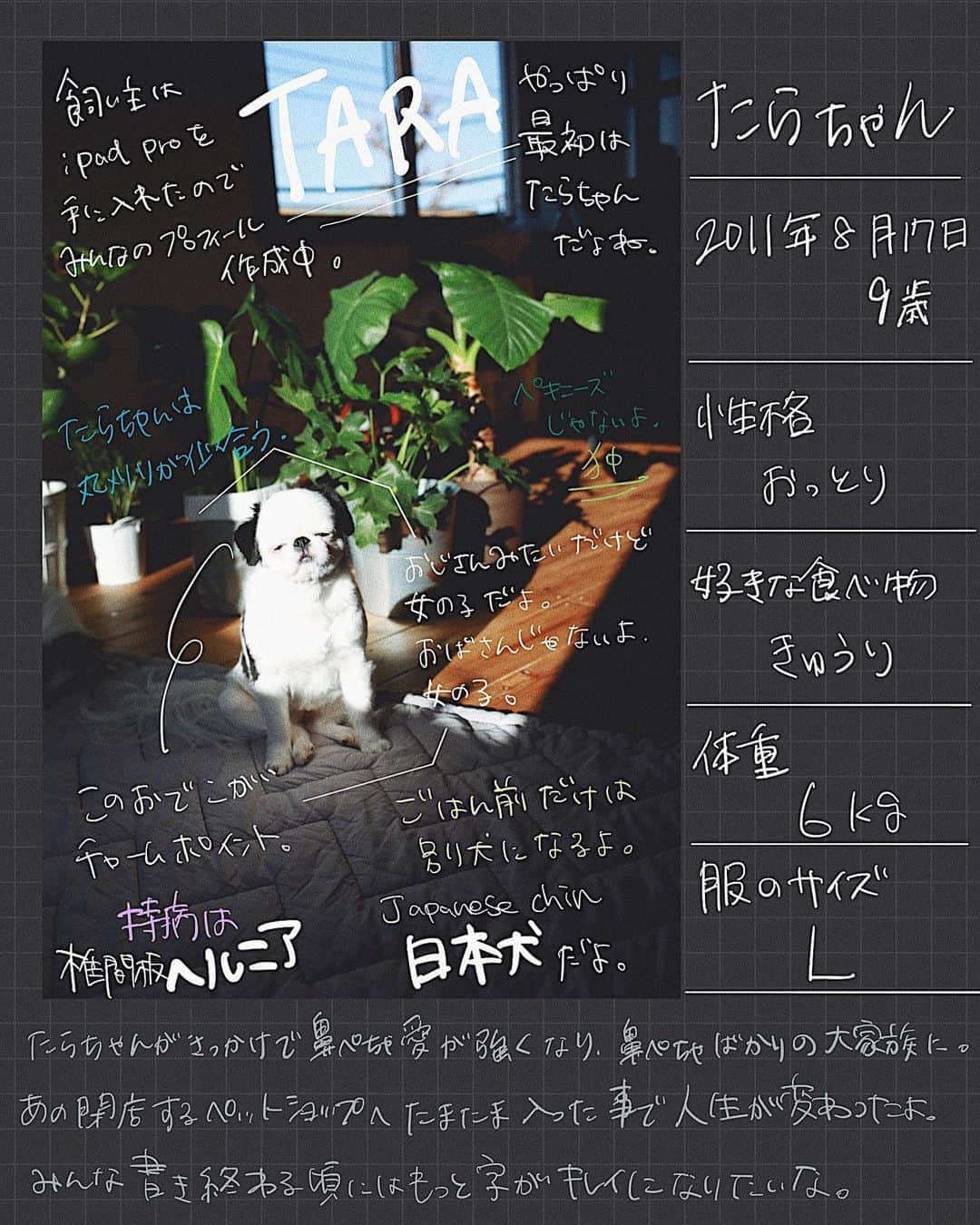 juntowaのインスタグラム：「iPad Pro楽しい！もっと使えるようになりたいな。#プロフィール#今更」