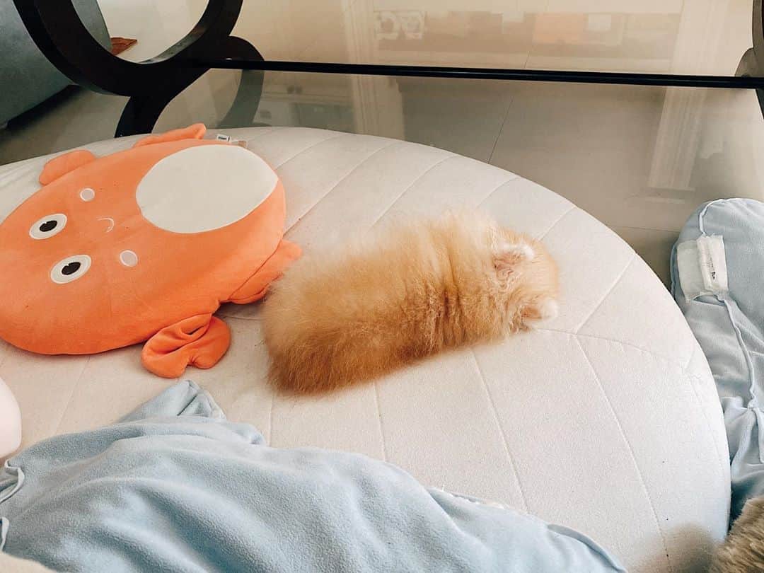 r_oseのインスタグラム：「Monday mood 🐰〰️」