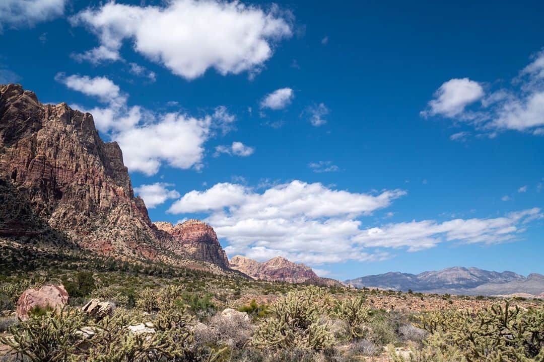アメリカ大使館さんのインスタグラム写真 - (アメリカ大使館Instagram)「ラスベガスから🚘30分で行けちゃう大自然。『レッドロックキャニオン国立保護区(Red Rock Canyon National Conservation Area)』 その中にある、Frist Creek Canyon Trail (ファースト・クリーク・キャニオン・トレイル)は、🇺🇸の荒野が見れる場所としても、ハイキングを楽しむ場所としてもオススメです。 ラスベガスを訪れた際には、小旅行してみてはいかがですか🥾 . #usa #america #studyabroad #livinginamerica #redrockcanyon #greatnature #hiking #trails #nationalconservationarea #bluesky #アメリカ #アメリカ生活 #留学 #国立保護区 #青空 #荒野 #ハイキング #トレッキング #小旅行 #ラスベガス #絶景 #photooftheday #広い空 #wildwestern #firstcreekcanyon #motivationmonday」9月14日 17時12分 - usembassytokyo