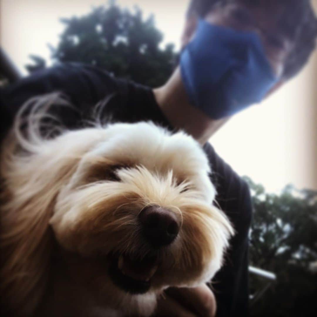 北山陽一のインスタグラム：「散歩なう。#きたやまおもち」