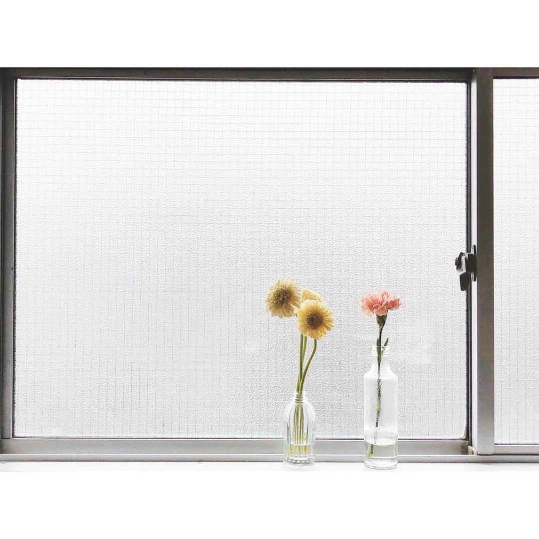 竹中友紀子のインスタグラム：「#おウチ時間 #花のある風景  先日遊びに来てくれた @self.japan がくれたお花。 ちょっと数が減り、生けなおしたら景色が変わってまた新鮮。  慎ましく暮らす。  何だか今の私にしっくりくる窓辺の景色。」