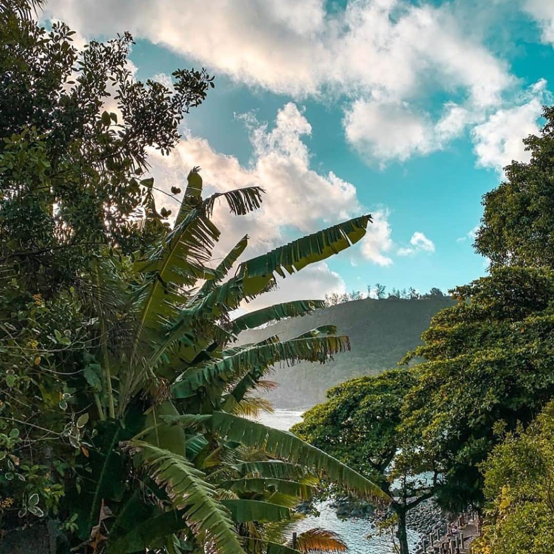 エールフランスのインスタグラム：「La baie de Manapany-les-Bains dit "lieu qui émerveille". L'un des nombreux trésors de l'Ile de la Réunion The bay of Manapany-les-Bains, one of the many treasures of Reunion Island ✨  📸: @tony_ftn  #AirFrance #EnvieDailleurs #guadeloupe #wanderlust #travel #ReunionIsland #lareunion #views #sky #travelspic #nature」