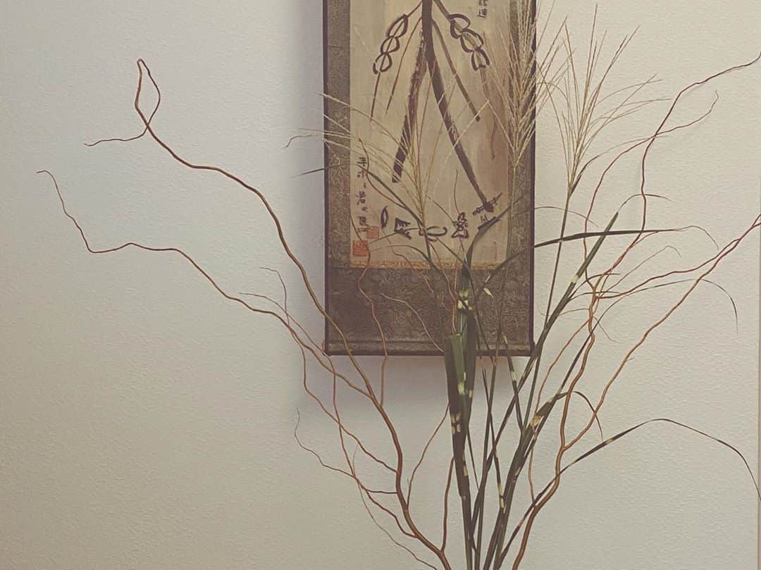 田中菜月さんのインスタグラム写真 - (田中菜月Instagram)「このくねくねとねじねじしている 枝の名前、知ってますか？  雲竜やなぎ  おととい、八大龍王を祀る龍泉寺に行ってきたばかりで…  龍と聞くと、喜ぶようになったわたしがいます。笑  そして、ススキと合わせました。 ススキの葉っぱがこんなに可愛い模様をしていたとは⁉︎  ほんとに、日々、驚きと感動でいっぱいですね。 秋ですね。  #雲竜  #龍神  #ススキ  #植物 #ボタニカル #地球  #八大龍王」9月14日 17時49分 - natsuki_hakko