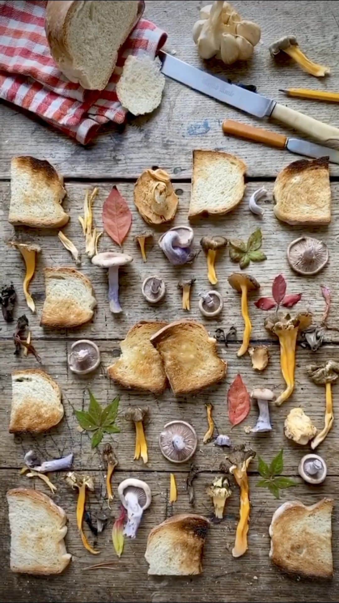 Tea and sittingのインスタグラム：「...I love toast 🍞🤎💛 ———————————— #autumntable #mushroomcollection #toastandbutter #toastlover」