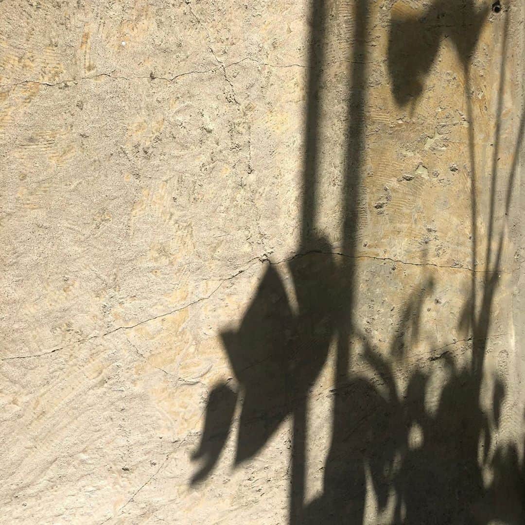 Baekのインスタグラム：「今回は沢山の方々ご来場ありがとうございました。 大自然の中で2週間近くとてもいい時間になりました。来てくださったみなさん、手伝ってくださった沢山の方々に感謝です。ありがとうございました！  Thank you for coming our exhibition🤍 my happiest memory of this summer!🤍」