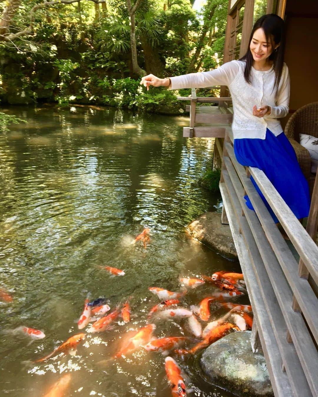 吉山りささんのインスタグラム写真 - (吉山りさInstagram)「本日の温泉紹介は 『新井旅館』さん♨️  本当にまた行きたいお宿です😍  🎋♨️✨  露天風呂付客室や竹林  客室から川の音にも癒され  そして鯉に餌やり✨  𓆛𓆜𓆝𓆞𓆟  お風呂からも鯉が見えるなんて初めて❣️  水族館みたい💡（笑）  とにかくお部屋も綺麗で  貸切温泉風呂もあり  お料理もめちゃくちゃ美味しかった😍  お米は私 普段1口食べるか食べないかなのに  朝、オカワリしました🌾🍚💕  帰りお米買おうとして  忘れてしまったのが残念でなりません😂  🌈🌈🌈 また行けますよーに♨️🥰✨   #新井旅館 #あらゐ #温泉 #静岡 #静岡旅行 #国内旅行 #竹林 #自然 #川  #勝手に好きな温泉紹介 #温泉女子  #japan #japaneseculture #美味しい #♨️ #hotsprings #travel #旅館 #日本の風景 #日本の景色 #風景 #修善寺温泉  #伊豆  #露天風呂付き客室 #露天風呂付客室   #吉山りさ #温泉ソムリエ #温泉モデル #japanese #japanesemodel」9月14日 19時01分 - oreorerisa