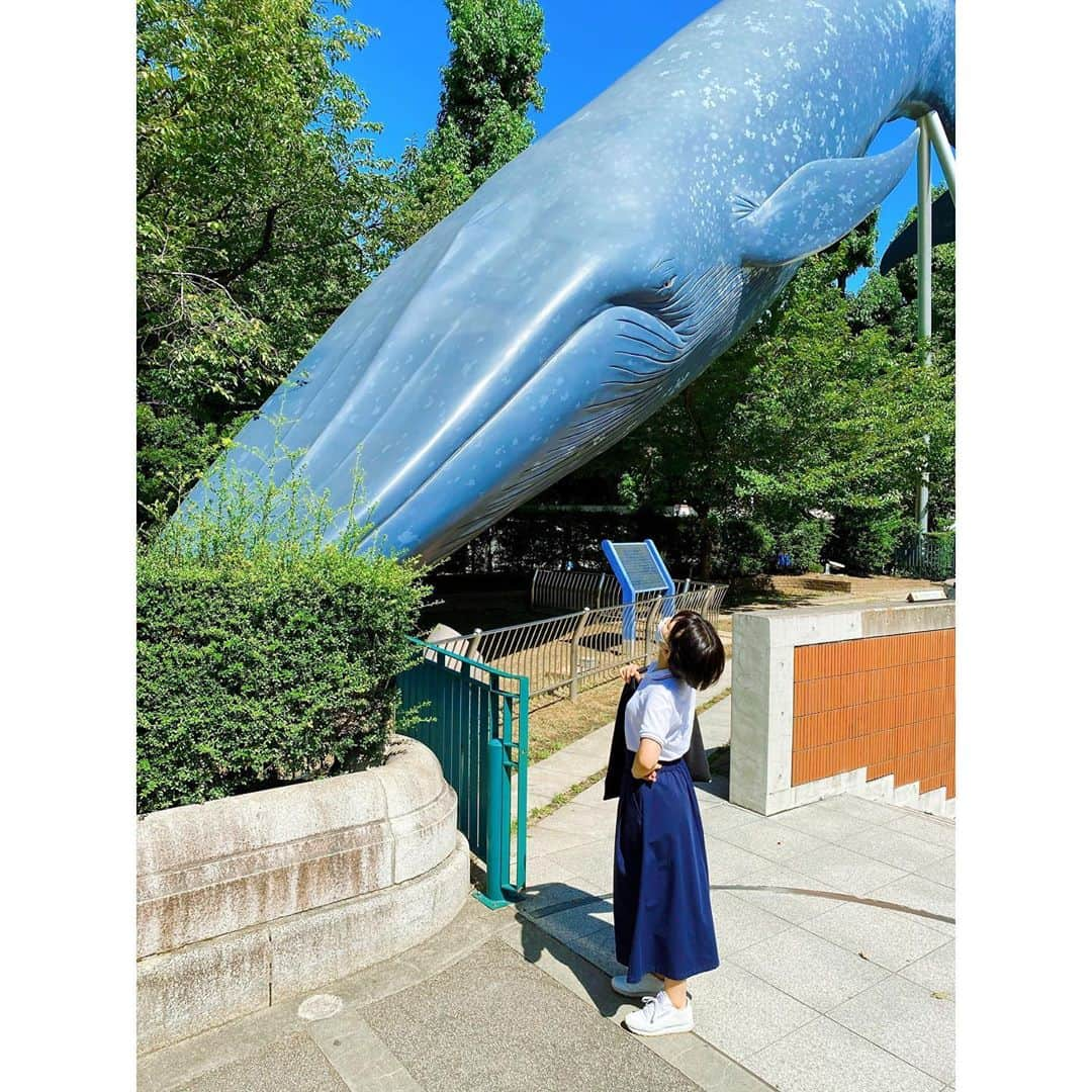 梶原凪さんのインスタグラム写真 - (梶原凪Instagram)「国立科学博物館の大きな鯨🐳」9月14日 19時27分 - kajihara.nagi_insta