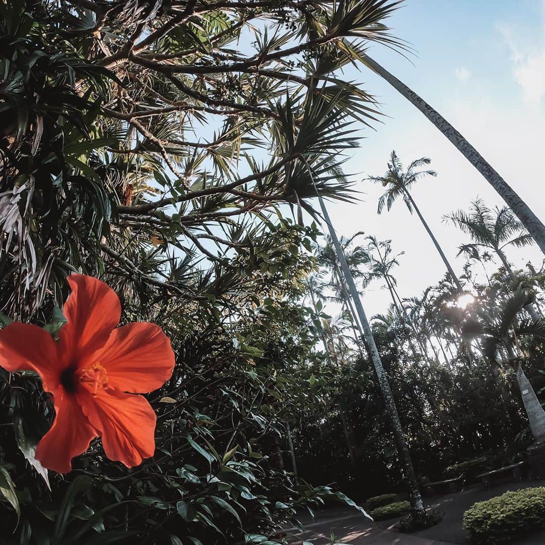 長嶺菜菜子のグルメインスタ