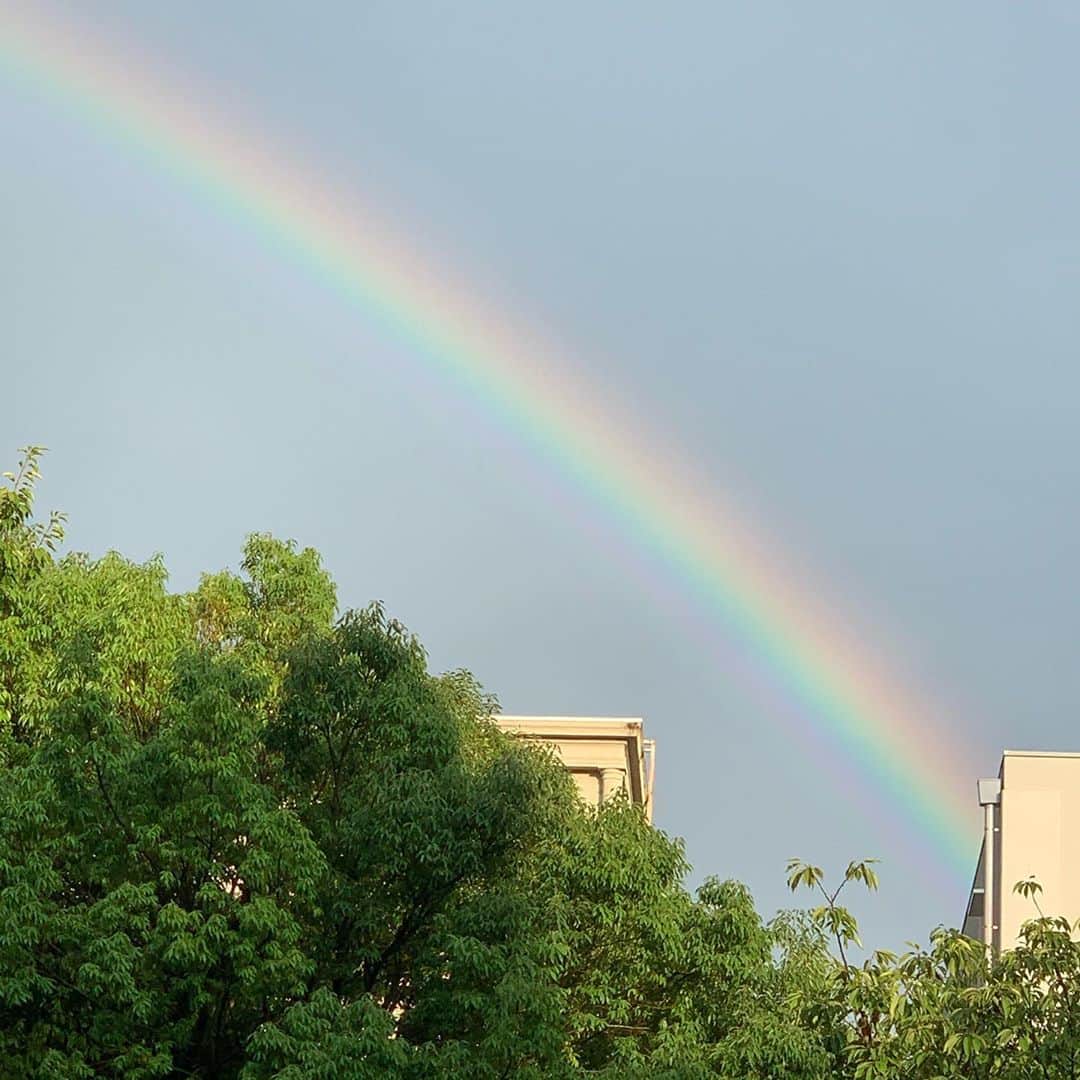 こしじまとしこのインスタグラム：「🌈☺️」