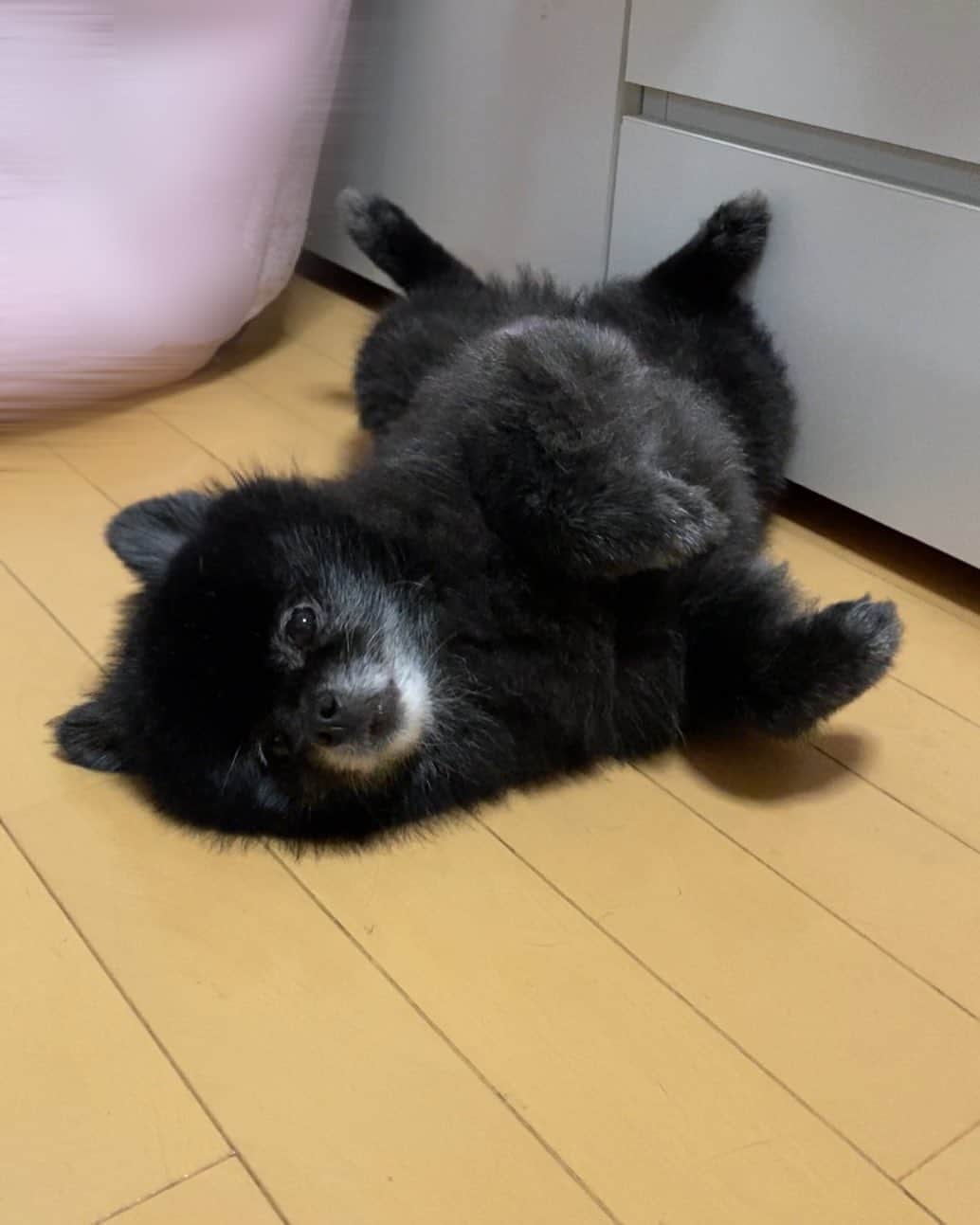 なちゅのインスタグラム