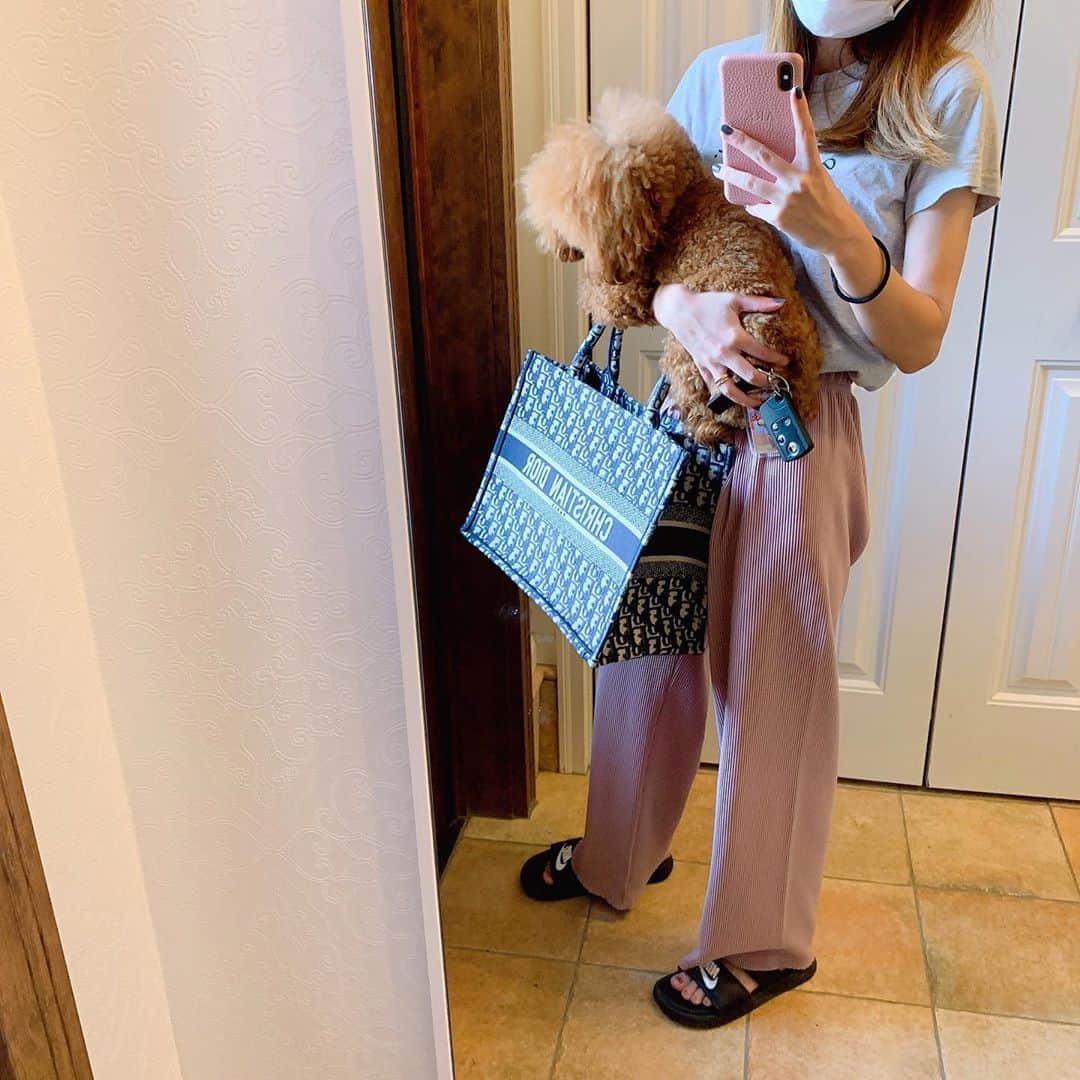 町田亜里香のインスタグラム：「今日はトリミングでした✂️𓂂𑀀 他の方とほぼ接触することがないので 最近は月1ペースで行ってます🐩 預けて帰る→数時間後迎え って感じ𖥣𖥣 ⠜ 安心して預けられる🐩 また太ってたよー😱 やっぱフードかなぁぁぁぁ🤣 足手術してるから。 もうちょい落としたいー😱😱 コロナ太り🐷なかなか戻らない😱 . . でも、デブでもかわいい🥴 わんこだからデブでもかわいい😍 アンジェはかわいい🥺 . . 2枚目 おやつくれアピール🍭笑 . . ほんと扉カスカスしたり 食への執着がひどい😱 . . #プードル #トリミング  #トイプードル #poodle #プードル部  #ティーカッププードル ？笑 #トップノット育成中 #トップノット  #ハロウィンだね #diorバッグ」