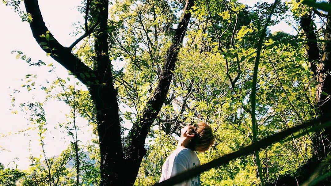 榊原徹士のインスタグラム：「森林浴 Relaxing time.  #relax #forest #selfie #気持ちいい #間違いない #蚊にバカ食われた #自撮り気取り #太宰府の山道で何してんねん」