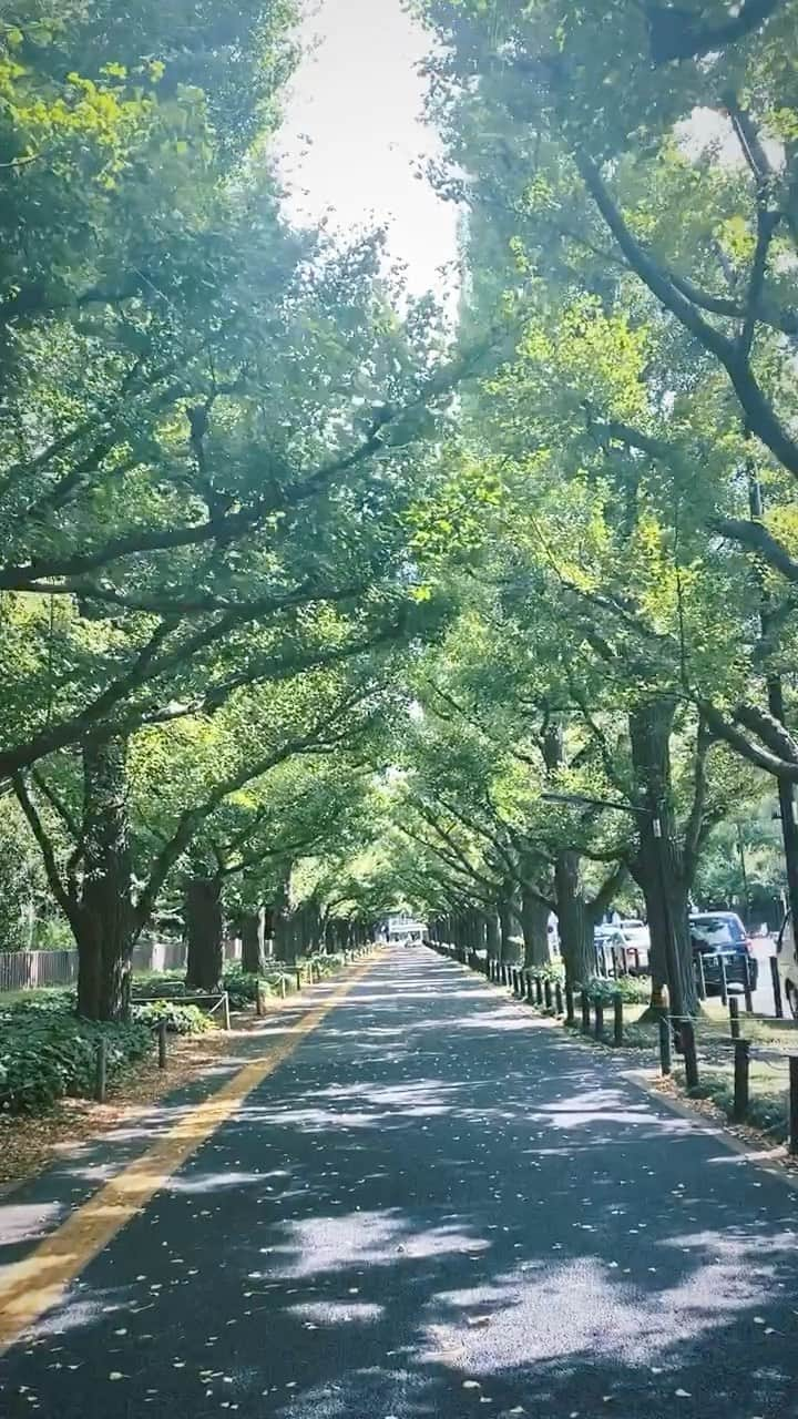 吉竹史のインスタグラム