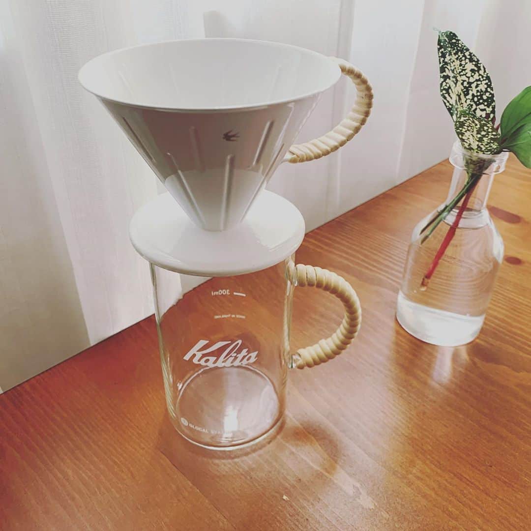 セゴリータ三世のインスタグラム：「高校時代に純喫茶的な所でずっと働いてたんだけど それからずっとコーヒーが好き。 ミルクと砂糖を入れないと飲めないヘタレだけど 雰囲気でめちゃくちゃいい感じになる。 そう、コーヒーとは相当イカすアイテムなんだ。  初夏から秋までは毎年水出しコーヒーを、 冬場から春までは熱湯で落として飲んでるけど 冬の終わりにコーヒーサーバーを割ってしまったので 新たにコレを購入した。 グローバルスタンダードプロダクツってとこのカリタのヤツ。  写真撮った。めっちゃいい感じである。 これが世に言う映えというヤツなんだろう。 ようやくインスタが分かってきた気がする。 割る予感しかしないけど。  本日のデータ 体重76.7kg（前日比＋0.7kg） BMI23.7（前日比＋0.3） 体脂肪率20.4%（前日比＋0.6%） 内臓脂肪10.0（前日比±0）  #100日ダイエット #100日後に痩せる元ゴリラ #13日目」
