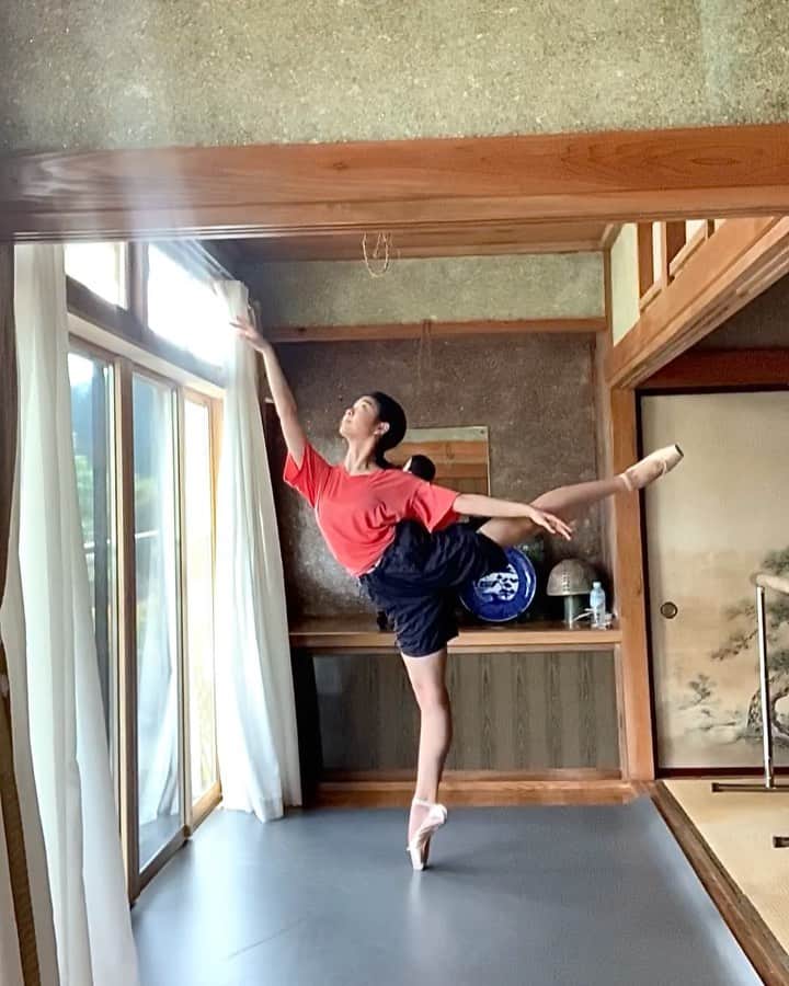 のインスタグラム：「. With some studio ghibli 🎶」