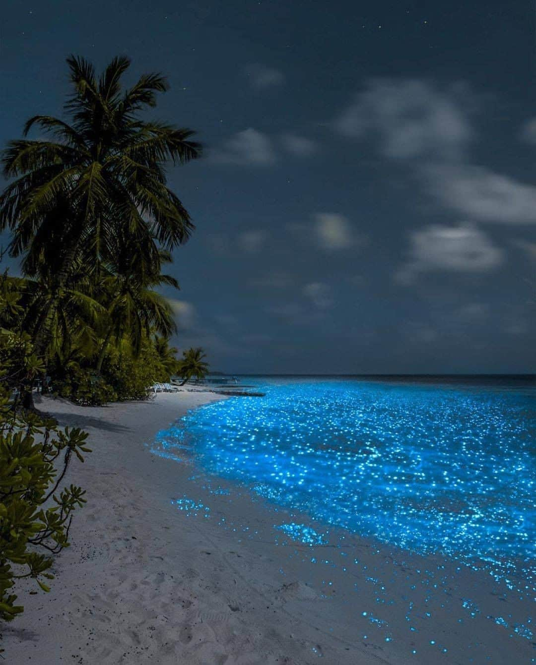 Discover Earthさんのインスタグラム写真 - (Discover EarthInstagram)「Would you spend the night on a fairy-tale beach like this one ?  Holbox, the petite 26-mile-long (42 kilometres) island in the Yucatan Peninsula region of Mexico, is capturing the world’s attention of late for its stunning scenery, incredible level of removal from the outside world and off-the-beaten-track status in an area overrun with backpackers seeking unique experiences.  🇲🇽 #discovermexico  with @jesusramirez.mx   #mexico #fairytalebeach #luminescentbeach」9月15日 0時30分 - discoverearth