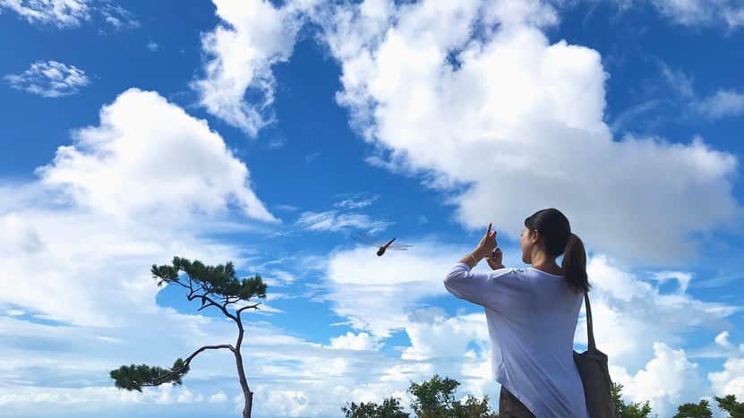 大山百合香さんのインスタグラム写真 - (大山百合香Instagram)「#okinawa #flower #sky #cloud #蝶々 #オオゴマダラ #とんぼ」9月15日 10時29分 - ohyamayurika