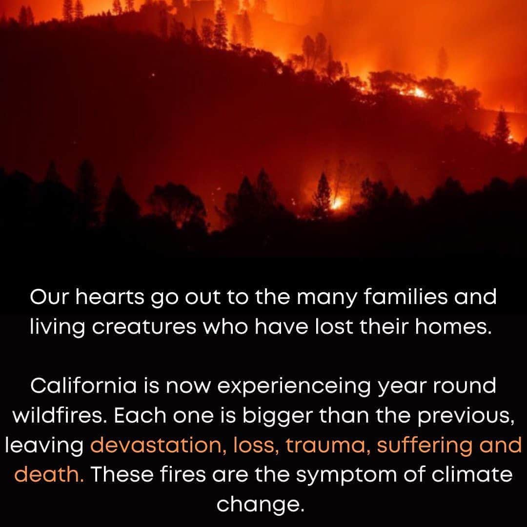 マット・マクゴリーのインスタグラム：「Reposting these images from @favianna1 from almost 2 years ago (resized for IG grid). @culturestrike #ClimateWoke # Below is from the Washington Post article in my stories. # “In a matter of weeks, California has experienced six of the 20 largest wildfires in modern history and toppled all-time temperature records from the desert to the coast. Millions are suffering from some of the worst air quality in years due to heat-triggered smog and fire smoke. A sooty plume has blanketed most of the West Coast, blotting out the sun and threatening people’s lungs during a deadly pandemic.  California is being pushed to extremes. And the record heat, fires and pollution all have one thing in common: They were made worse by climate change. Their convergence is perhaps the strongest signal yet that the calamity climate scientists have warned of for years isn’t far off in the future; it is here today and can no longer be ignored.”」