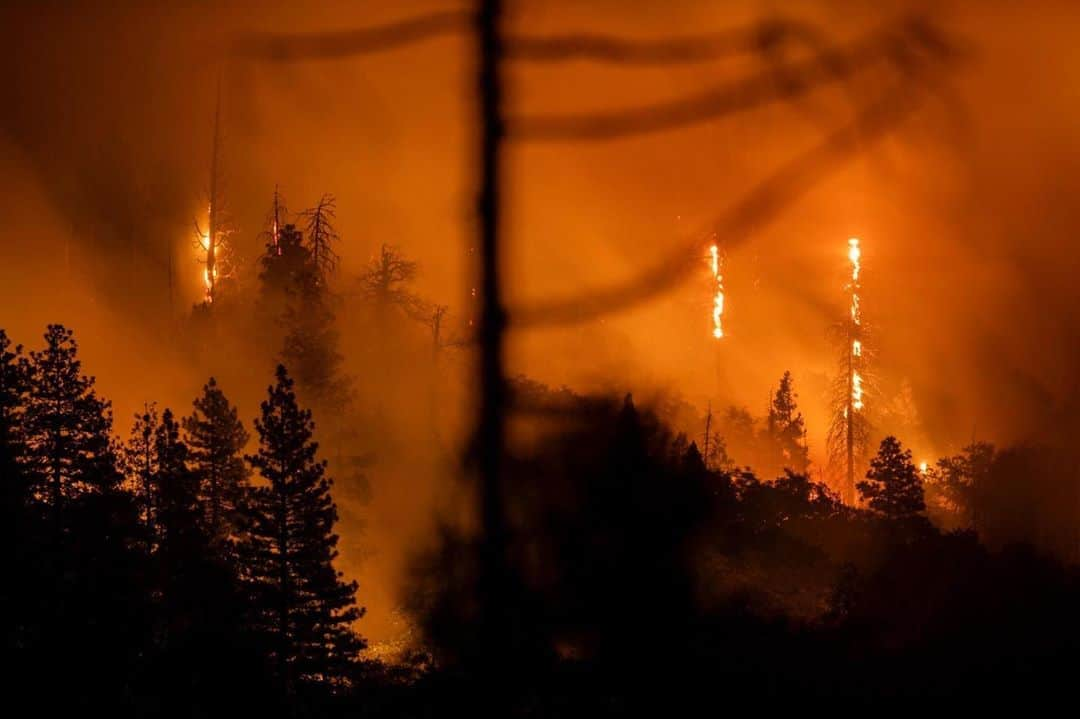 National Geographic Creativeさんのインスタグラム写真 - (National Geographic CreativeInstagram)「Photo by @stuartpalley / The Castle Fire burns in the Sequoia National Forest near Camp Nelson, CA Sunday September 13th, 2020. The blaze is part of the SQF complex, a series of lighting caused fires in the southern Sierra Nevada mountains of California. The fire was increasing in containment and then a weather change caused the fire to explode into massive bark beetle-killed pines, causing the fire to grow. Sadly, homes were lost in the Alpine Drive area and firefighters are working to save houses in the rural and remote Sequoia Crest area, near the Alder Sequoia grove and the 5th largest tree in the world.  There are millions of trees killed by drought and ensuing bark beetle infestations in CA, and the Castle Fire is in part fueled by dead and down trees, living trees that are extremely dry, and dense undergrowth. Heat, drought, and an incredibly strong lightning storm combined with forest management, wildland urban interface construction, and climate change all coalesce on the peaks to create this surreal scene from California’s record setting wildfire siege.  #CastleFire #SQFComplex #LongExposure #CAFire」9月15日 3時56分 - natgeointhefield