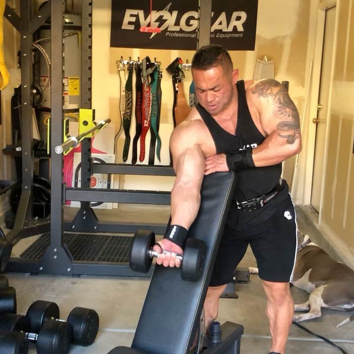 のインスタグラム：「One arm dumbbell concentration curl is one of my favorite exercise for biceps peak. It’s often used as a finisher but you can go much heavier if you do it your first biceps exercise to build mass.  片腕で行うコンセントレーションカールは上腕二頭筋種目ではインクラインカールの次に好きな種目。第一種目にもってきて高重量で行うのもいい！  @evolgear @cronos_apparel @gaspari @cardilloweightbelts @bodicafe」