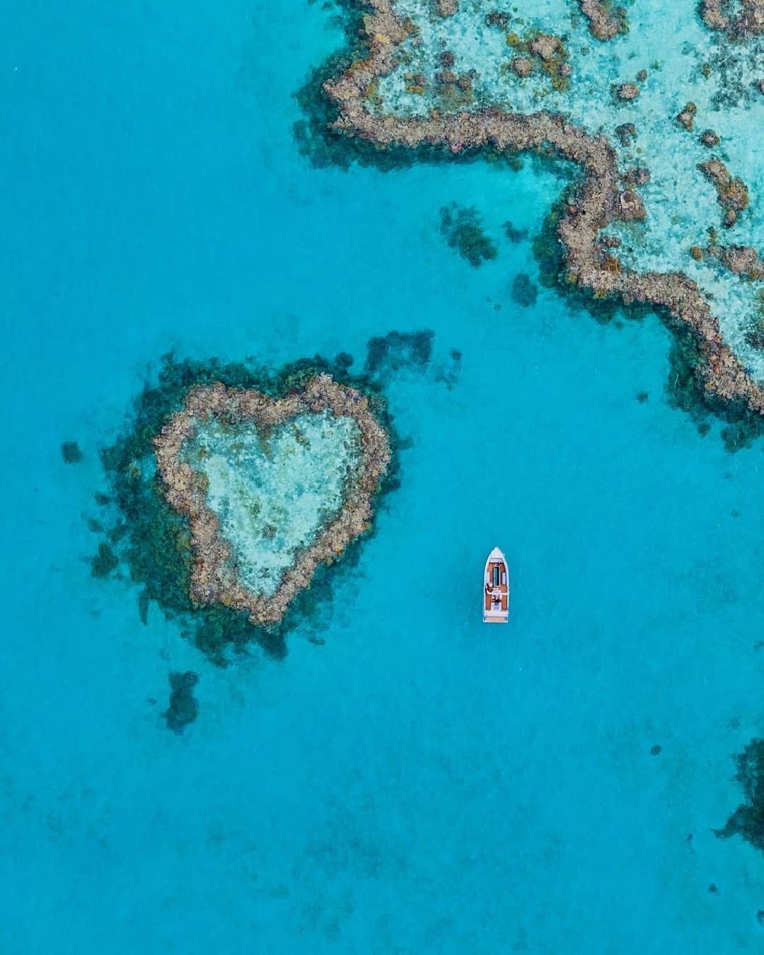 Lonely Planetのインスタグラム：「🚁Have you dreamed of flying over this famous part of the Great Barrier Reef then swimming it?  Now it is possible to do just that. Heart Reef is a coral bommie that’s now home to a luxe pontoon known as Heart Island.   Tap the link in our bio to find out all the details of how to visit.」