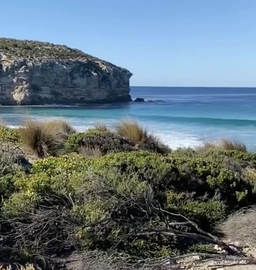 Australiaのインスタグラム