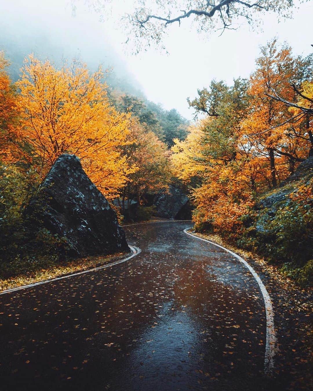 FOLKのインスタグラム：「The pathway to autumn. Today’s favorites are: 1.) @lhackett 2.) @punkodelish 3.) @thekitchenmccabe 4.) @helloemilie 5.) @jorge_csardinha 6.) @jude_allen」