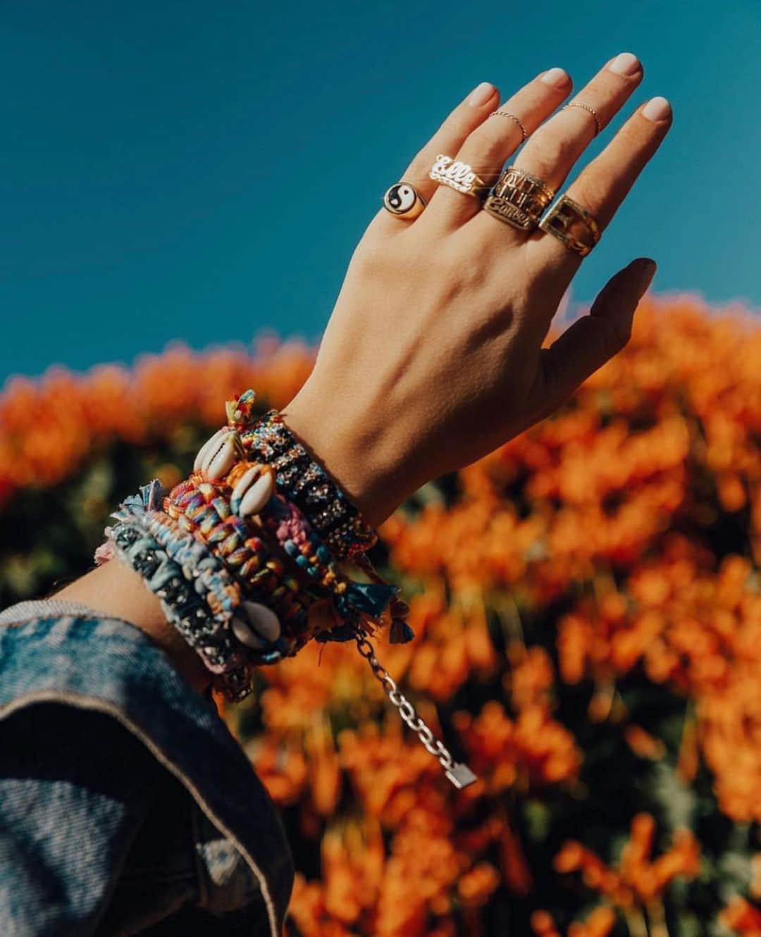 ダニジョーのインスタグラム：「GANG’S ALL HERE 🌈 @elle_ferguson in all her DANNIJO faves 🛒 #dannijogirls #armparty」