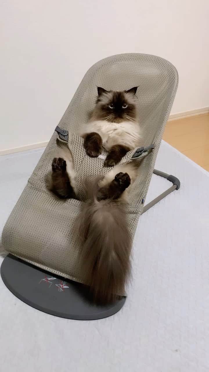 plumeのインスタグラム