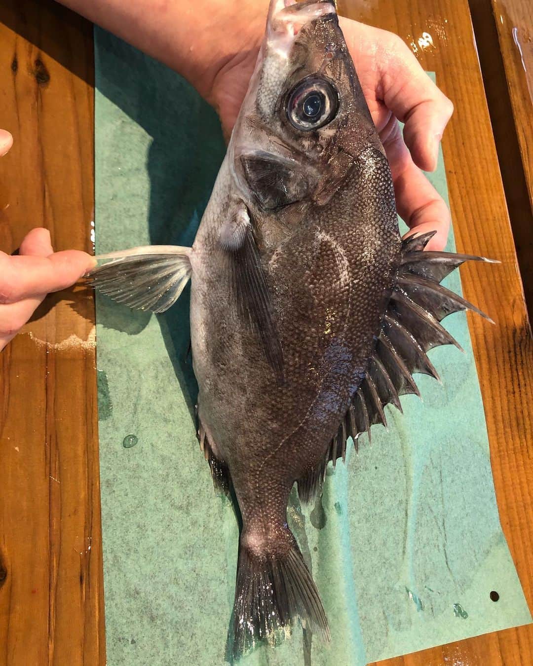 森田釣竿のグルメインスタ